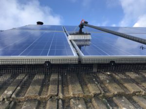 Cleaning solar panels