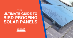 Bird Proofing Solar Panels
