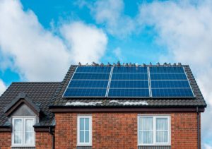 solar panel issues
